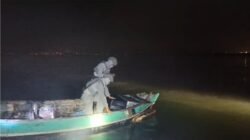 Bakamla RI Gagalkan Penyelundupan 60 Ribu Ekor Baby Lobster di Perairan Kepulauan Seribu