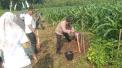 Dukung Ketahanan Pangan, Polsek Lumbang Lakukan Penanaman Pohon Mangga