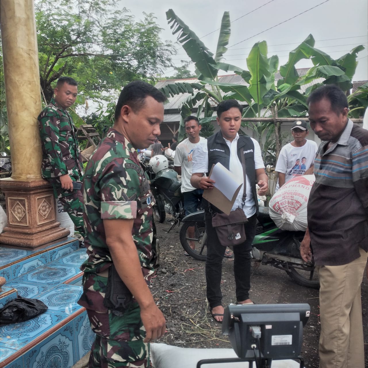 Koramil Wonomerto Dampingi Petani Sukseskan Program Serapan Gabah Nasional