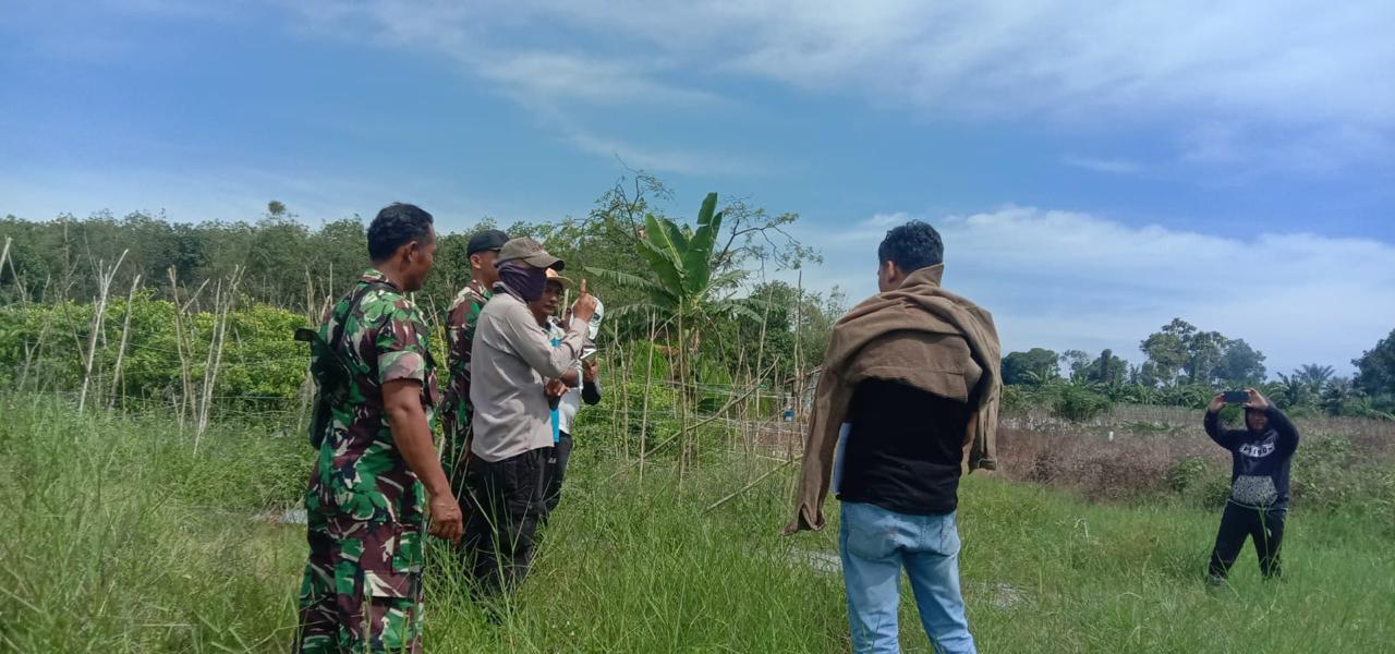 Babinsa Kodim 1009/Tla Dampingi BPP Cek Lokasi Cetak Sawah Takisung