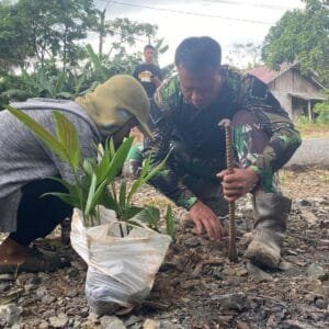 Satgas TMMD ke-124 Kodim 1009/Tanah Laut Tanam Ratusan Pohon Demi Lestarikan Alam dan Cegah Bencana