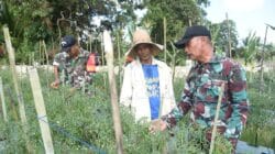TMMD Kodim HST Sentuh Infrastruktur dan Hortikultura untuk Ketahanan Pangan Daerah