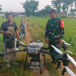 Optimalkan Produktifitas Pertanian, Babinsa Koramil 0811/14 Kerem Dampingi Pemupukan Menggunakan Teknologi Drone