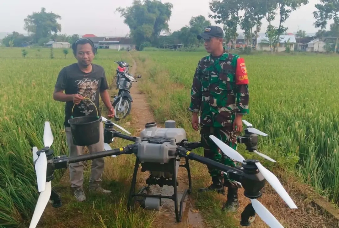 Optimalkan Produktifitas Pertanian, Babinsa Koramil 0811/14 Kerem Dampingi Pemupukan Menggunakan Teknologi Drone