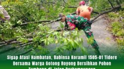 Sigap Atasi Hambatan, Babinsa Koramil 1505-01 Tidore Bersama Warga Gotong Royong Bersihkan Pohon Tumbang di Jalan Perkampungan
