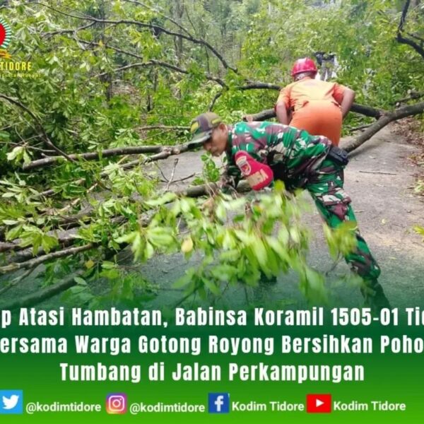 Sigap Atasi Hambatan, Babinsa Koramil 1505-01 Tidore Bersama Warga Gotong Royong Bersihkan Pohon Tumbang di Jalan Perkampungan