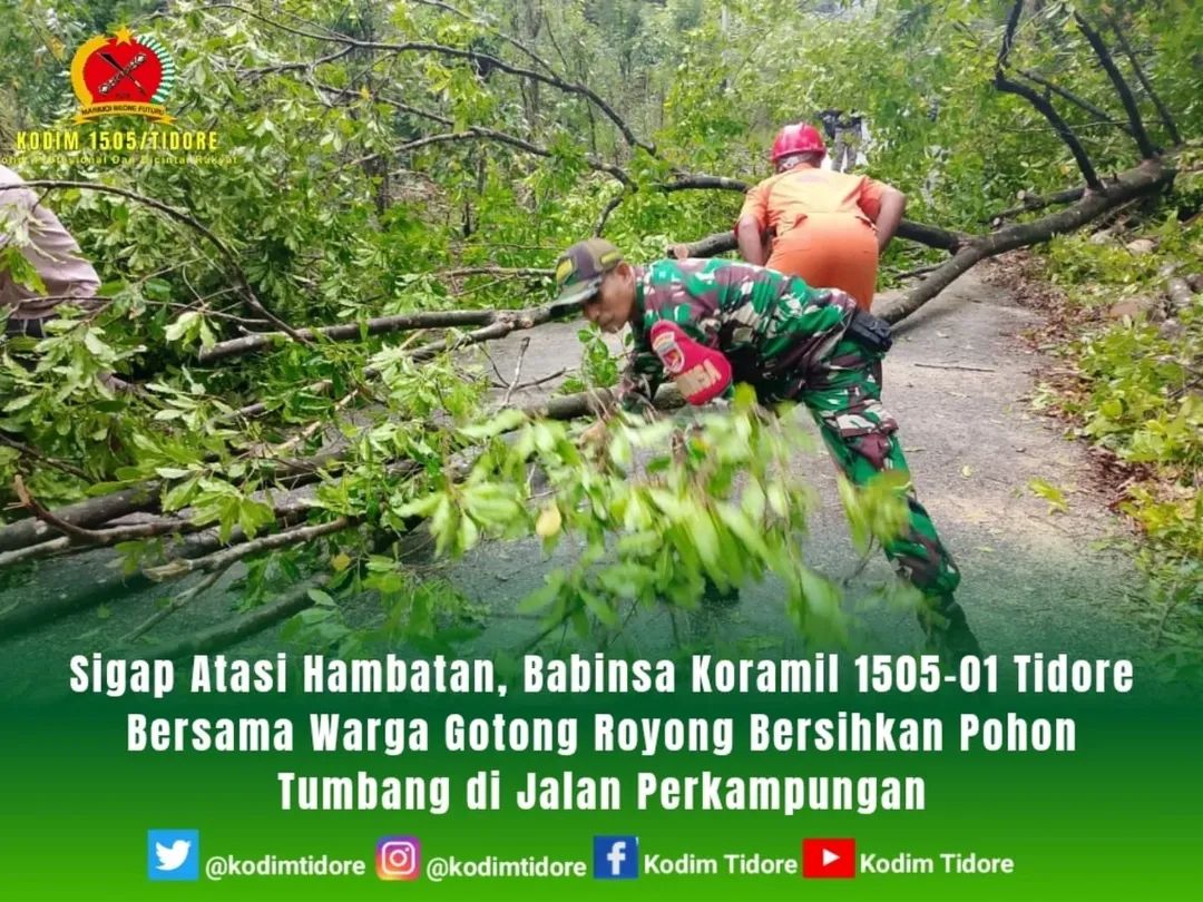 Sigap Atasi Hambatan, Babinsa Koramil 1505-01 Tidore Bersama Warga Gotong Royong Bersihkan Pohon Tumbang di Jalan Perkampungan