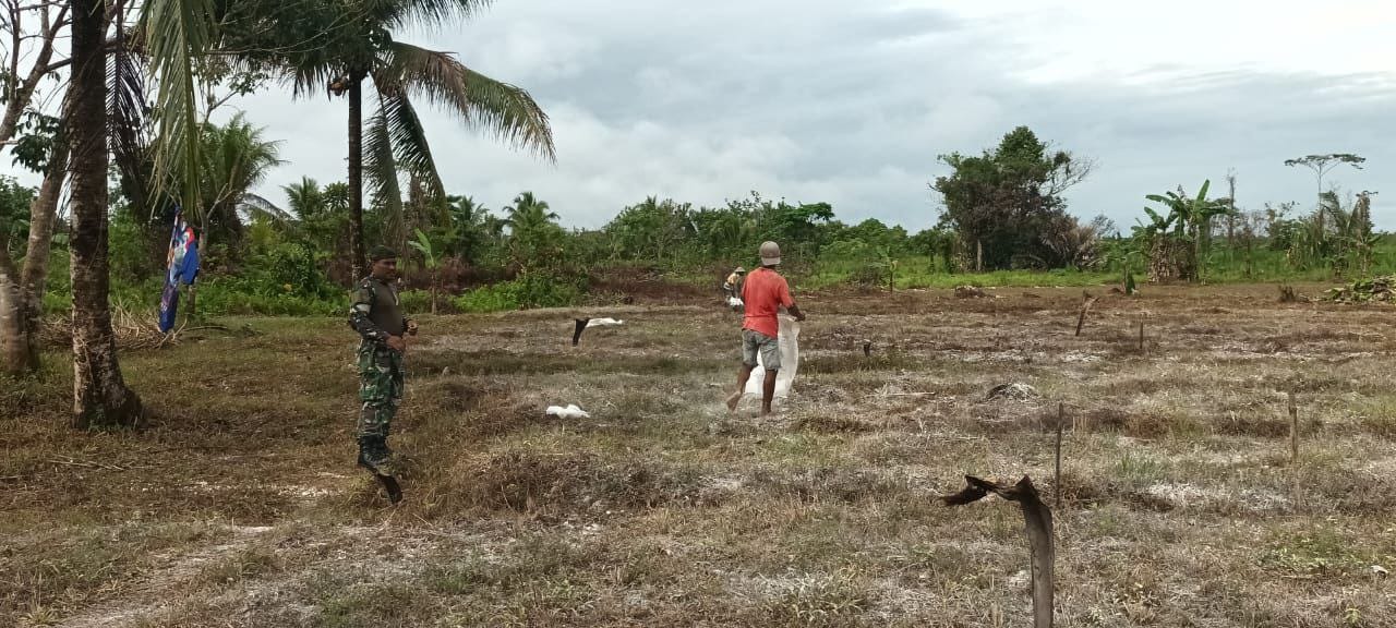 Babinsa Koramil 1710-03/Kuala Kencana Laksanakan Pendampingan Pertanian Di Wilayah Binaan