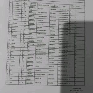 Kapal Penumpang KMP Tunu Pratama Jaya Tenggelam di Selat Bali, Dunia Transportasi Berduka