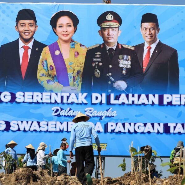 Terus Wujudkan Swasembada Pangan, Kapolri Laksanakan Penanaman Jagung Kuartal III
