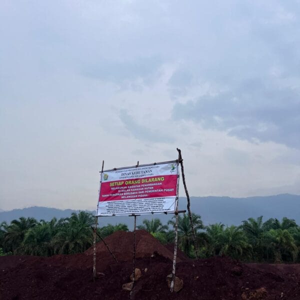 PT. Wisnu Mandiri Batara Di Duga Rusaki Kawasan Hutan dan Fasilitator Pelakor. FPMKU dan KLP-KU Adukan Ke Polda Sultra