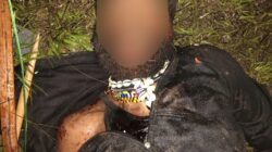 Satgas Gabungan TNI Lumpuhkan Dua Anggota OPM dan Amankan Dokumen Penting