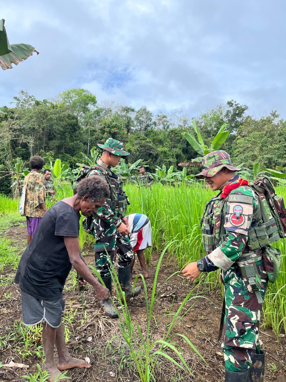Lanjutkan Program Hanpangan Merah Putih, Satgas Yonif 126/KC Rawat Padi Gogo demi Swasembada