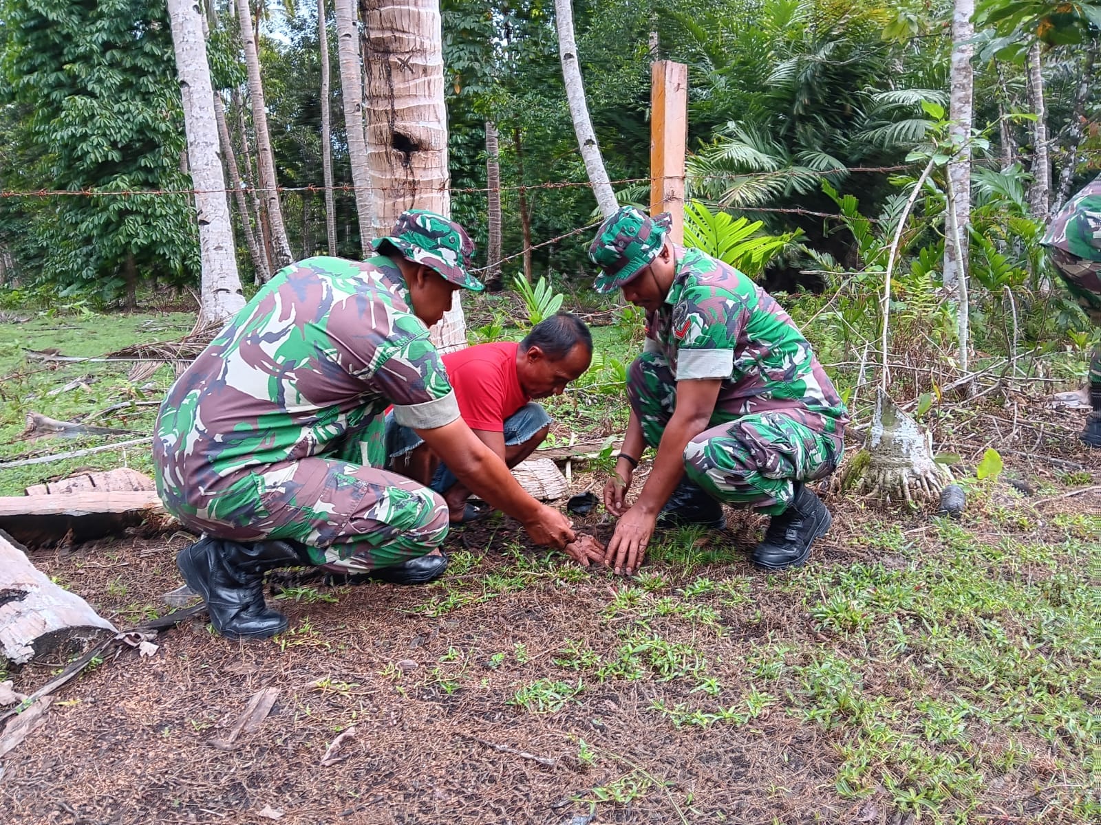 Kodim 1505 Tidore Lestarikan Alam Lewat Penghijauan