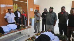 Prajurit TNI Lumpuhkan Wakil Panglima OPM Kodap XII/Lanny Jaya di Papua Pegunungan