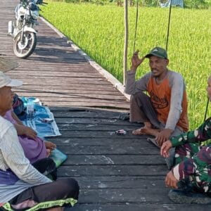 Babinsa Bersama Petani Manfaatkan Waktu Istirahat Untuk Pererat Kebersamaan Melalui Komunikasi Sosial