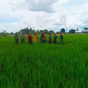 Satgas Kedaulatan Pangan Kodim Kukar Gelar Patroli Bersama, Dorong Ketahanan Pangan Hingga ke Desa