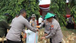 Kapolres Tuban: Jagung Kering Kualitas Tinggi Siap Serap Bulog Rp6.400/Kg