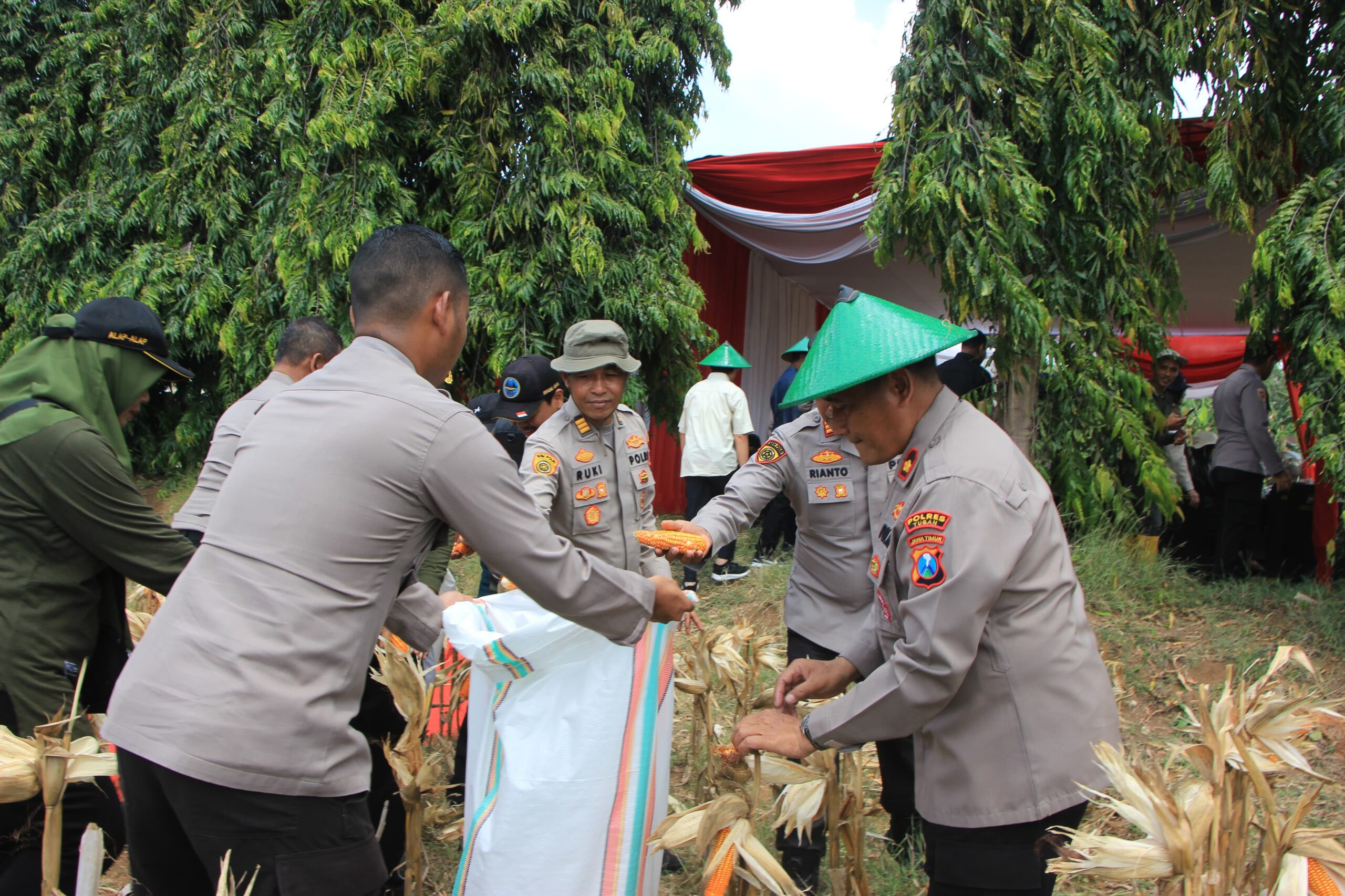 Kapolres Tuban: Jagung Kering Kualitas Tinggi Siap Serap Bulog Rp6.400/Kg