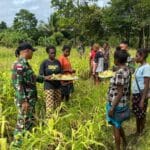 Panen Raya Jagung: TNI dan Warga Rawabiru Wujudkan Swasembada Pangan
