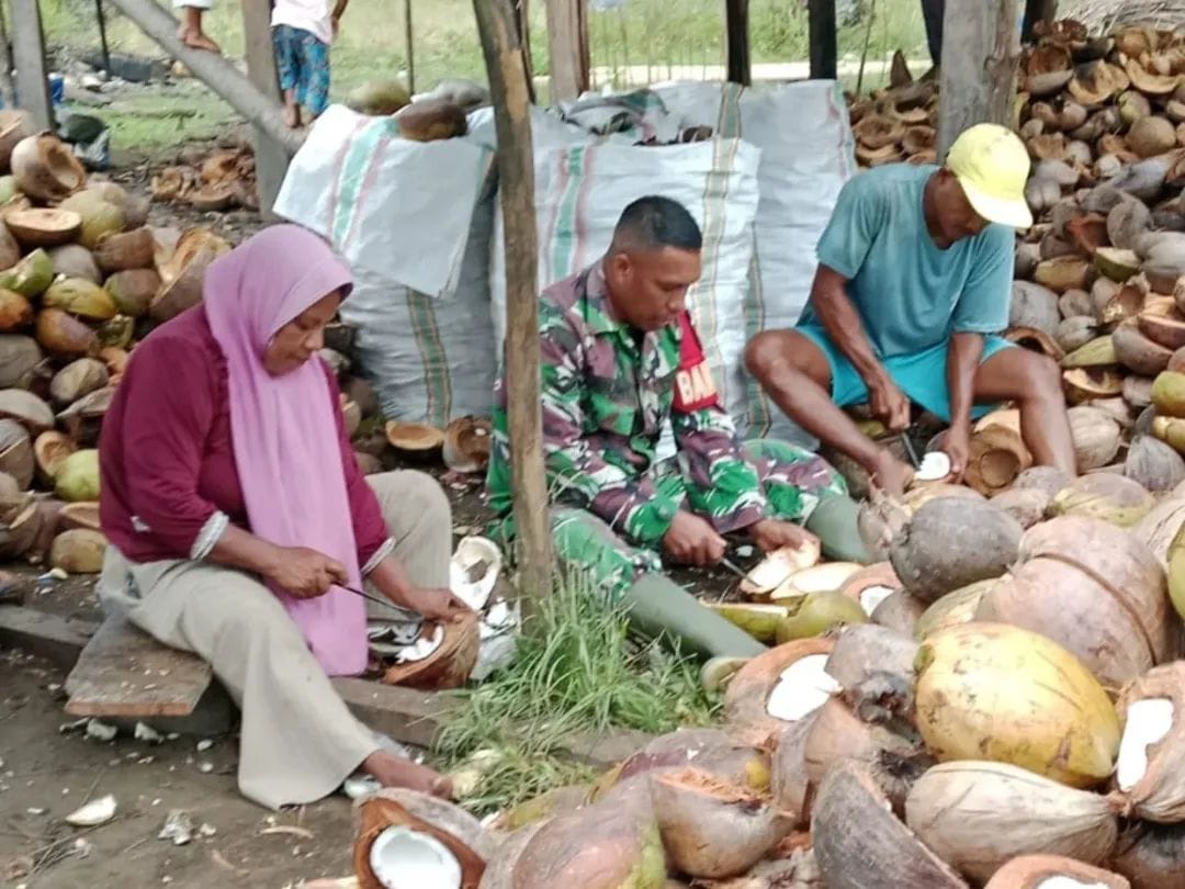 Kebersamaan TNI dan Rakyat, Babinsa Koramil 03/Maba Bantu Warga Produksi Kopra
