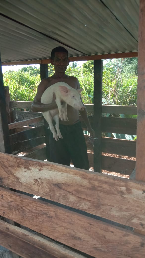 Prabowo Dorong Ekonomi Rakyat Papua Barat Daya Lewat Bantuan Ternak Berbasis Adat Prabowo Dorong Ekonomi Rakyat Papua Barat Daya Lewat Bantuan Ternak Berbasis Adat