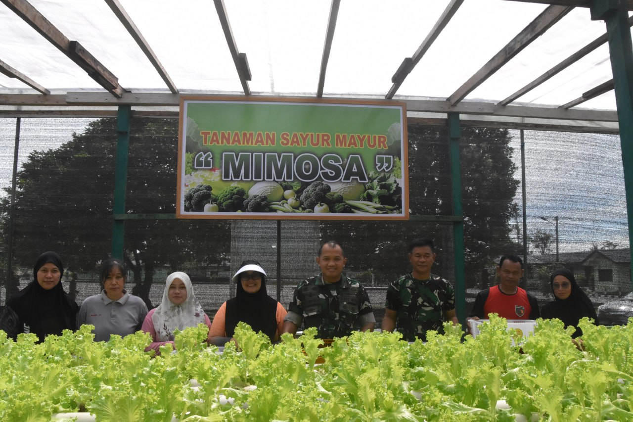 Dandim 1710/Mimika Bersama Ketua Persit KCK Cab. XXXV Melaksanakan Panen Slada Di Kebun Hidroponik Mimosa Persit KCK Cab. XXXV Kodim 1710/Mimika Dandim 1710/Mimika Bersama Ketua Persit KCK Cab. XXXV Melaksanakan Panen Slada Di Kebun Hidroponik Mimosa Persit KCK Cab. XXXV Kodim 1710/Mimika
