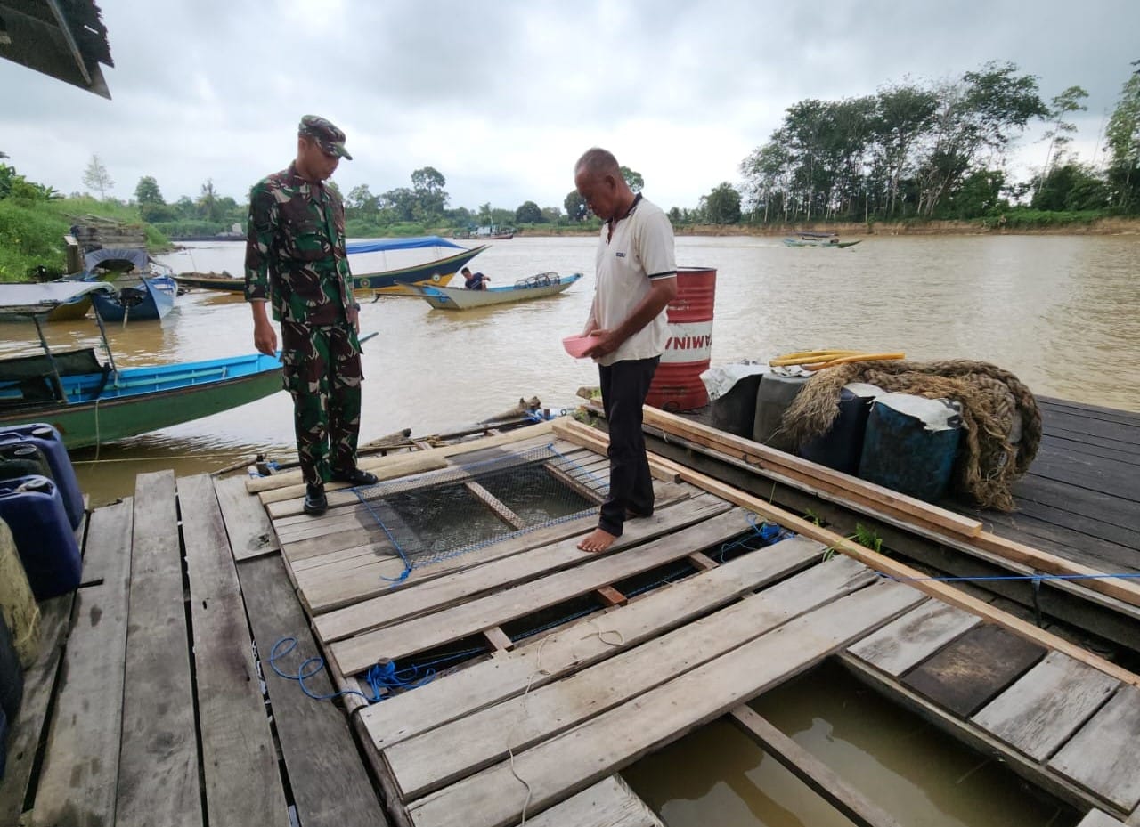 Babinsa Lakukan Komsos dengan Petani Ikan, Dukung Program Ketahanan Pangan