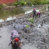 Koarmada III Hadir untuk Rakyat Pesisir: Rangkaian Baksos, Layanan Kesehatan, MBG, dan Penanaman 1.000 Mangrove Warnai HUT Armada RI Tahun 2025
