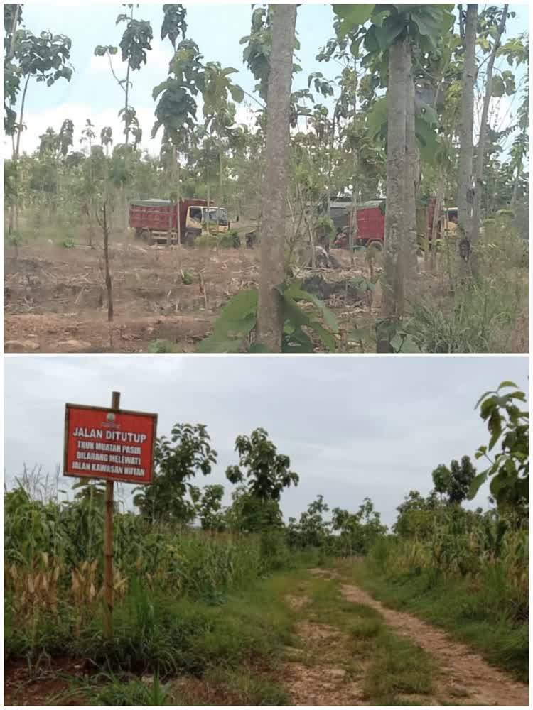 Alat Berat Tak Disita, Tersangka Tak Ada: Ada Apa dengan Penanganan Tambang Ilegal di Tuban?
