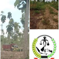 Hukum Garang ke Rakyat Kecil, Jinak ke Perusak Alam