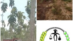 Hukum Garang ke Rakyat Kecil, Jinak ke Perusak Alam