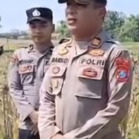 Dukung Produksi Jagung, Kapolsek Widang Turun Langsung Temui Petani