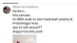 Viral di TikTok, Kualitas Menu MBG di Leces Tuai Kritik dari Wali Murid