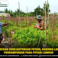 Tingkatkan Kesejahteraan Petani, Babinsa Lakukan Pendampingan pada Petani Lombok