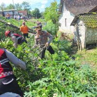 Tim Gabungan Evakuasi Pohon Tumbang Akibat Peristiwa Puting Beliung