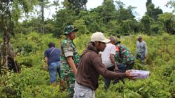Kodim 1715/Yahukimo Gelar Karya Bakti Pembersihan Lingkungan Bersama Masyarakat