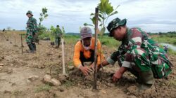 Mitigasi Bencana, Tiga Pilar di Kedungsumber Temayang Bojonegoro Tanam Ratusan Pohon Produktif