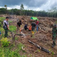 Anggota Satgas TMMD Wiltas Ke-127 Kodim 0912/Kubar Gotong Royong Bantu Warga Cari Kayu Bakar Untuk Syukuran