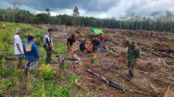 Anggota Satgas TMMD Wiltas Ke-127 Kodim 0912/Kubar Gotong Royong Bantu Warga Cari Kayu Bakar Untuk Syukuran