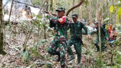 TNI Temukan dan Evakuasi Kecelakaan Pesawat Pelita Air di Pegunungan Krayan Timur, Kalimantan Utara