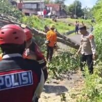 Polisi dan Tim Gabungan Buka Akses Jalan Dampak Puting Beliung
