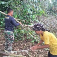 Kemanunggalan TNI dan Rakyat, Pratu Wisnu Taripino Bantu Warga Linggang Amer Cari Kayu Bakar