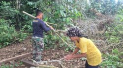 Kemanunggalan TNI dan Rakyat, Pratu Wisnu Taripino Bantu Warga Linggang Amer Cari Kayu Bakar