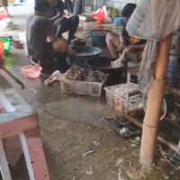 Laporan Warga Bergulir ke Dinas, Gudang Pemotongan Bebek di Kanigaran Masih Berjalan