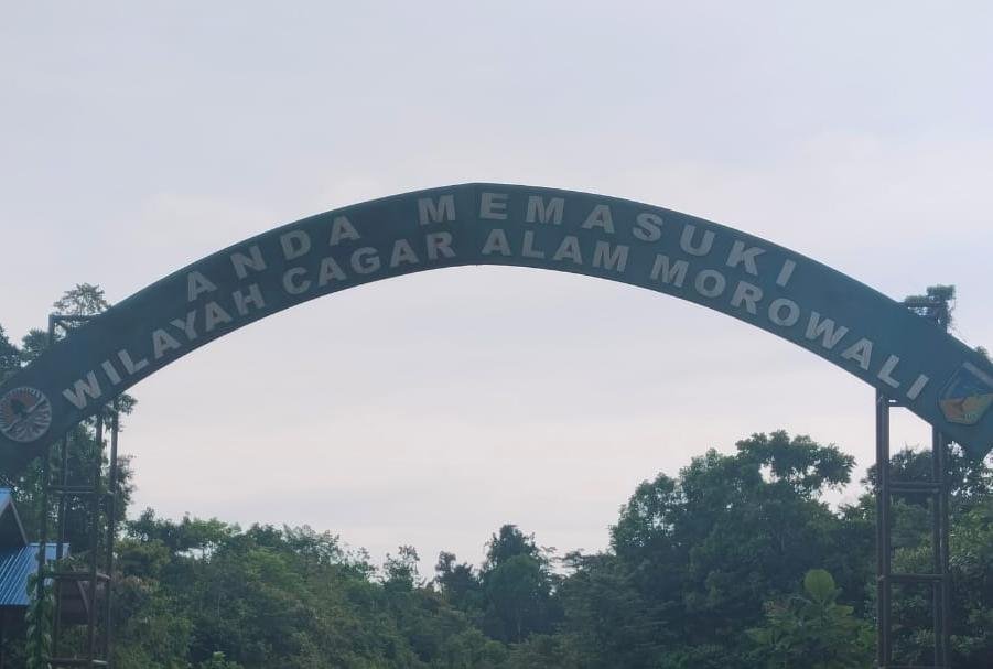 Sorotan Tajam ke BKSDA Morut, Penegakan Hukum Dinilai Tak Konsisten