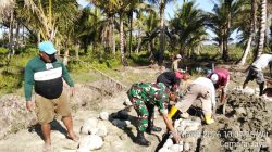 Wujud Kepedulian, Babinsa Kodim 1505/Tidore Gotong Royong Bantu Pembangunan Rumah Warga