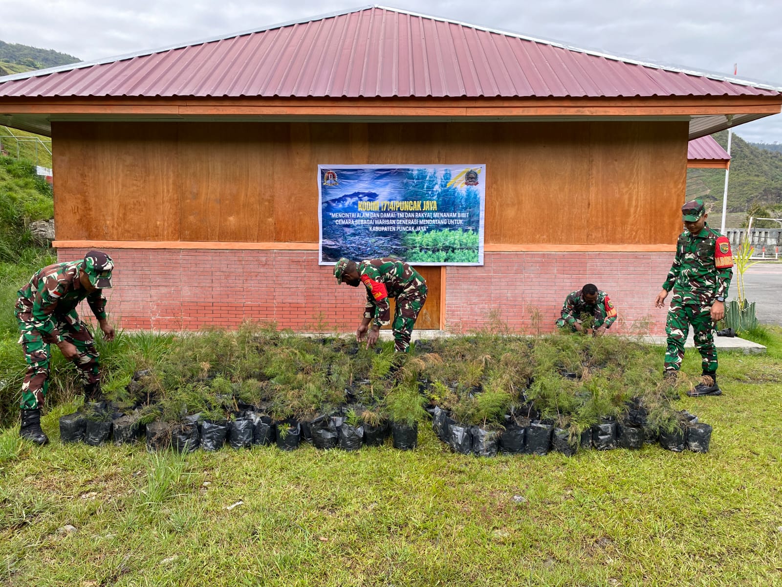 Kodim 1714/Puncak Jaya Bersama Rakyat Tanam Bibit Cemara Sebagai Generasi Mendatang Untuk Kabupaten Puncak Jaya