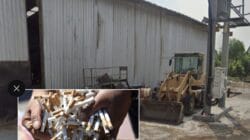 Anomali Perizinan dan Indikasi Maladministrasi: Gedung Industri Rokok di Probolinggo Diduga Beroperasi Tanpa PBG Valid