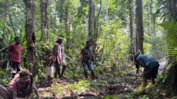 Progres TMMD ke-128 Kodim 1801/Manokwari: Satgas Fokus Selesaikan Pembuatan Kusen dan Pondasi Rumah Warga